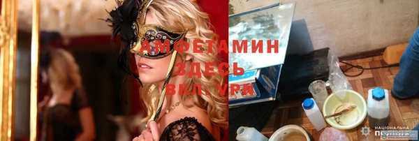 мдпв Гусь-Хрустальный