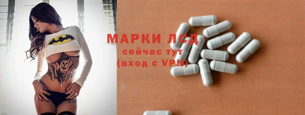 твердый Снежногорск