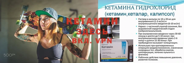 мдпв Гусев
