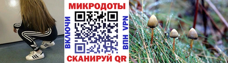 МЕГА ONION  Сухой Лог  Псилоцибиновые грибы Psilocybine cubensis  сколько стоит 