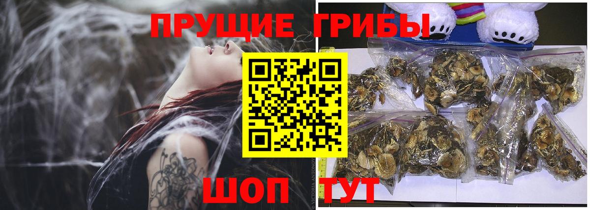 Сухой Лог  Псилоцибиновые грибы Psilocybe  Вход с VPN  Галлюциногенные грибы Psilocybine cubensis 