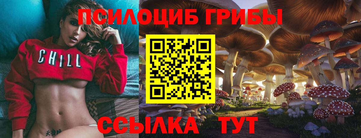Галлюциногенные грибы Psilocybine cubensis Сухой Лог